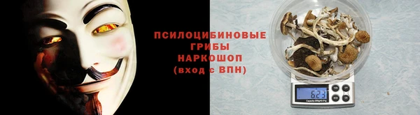 гидра Красноперекопск