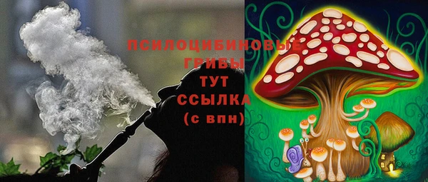 соль курить ск Краснослободск