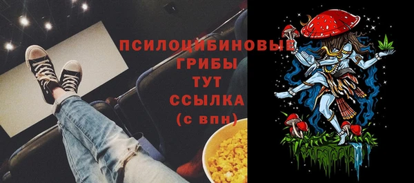 соль курить ск Краснослободск