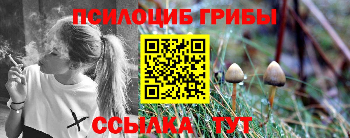 Псилоцибиновые грибы ЛСД  Вход с VPN  Сатка  Галлюциногенные грибы Psilocybe 