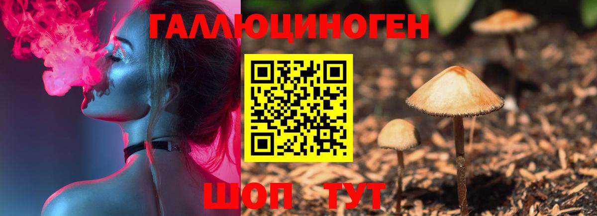 Галлюциногенные грибы ЛСД Сатка
